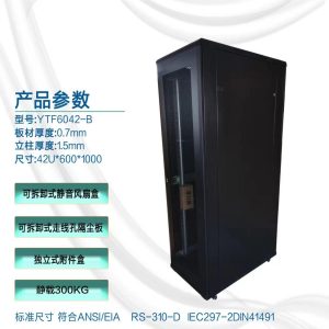 42U Network Cabinet 600×1000 — YTF6042-B