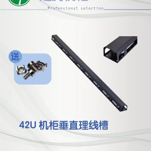 42U Vertical Cable Tray — YT-VCM42